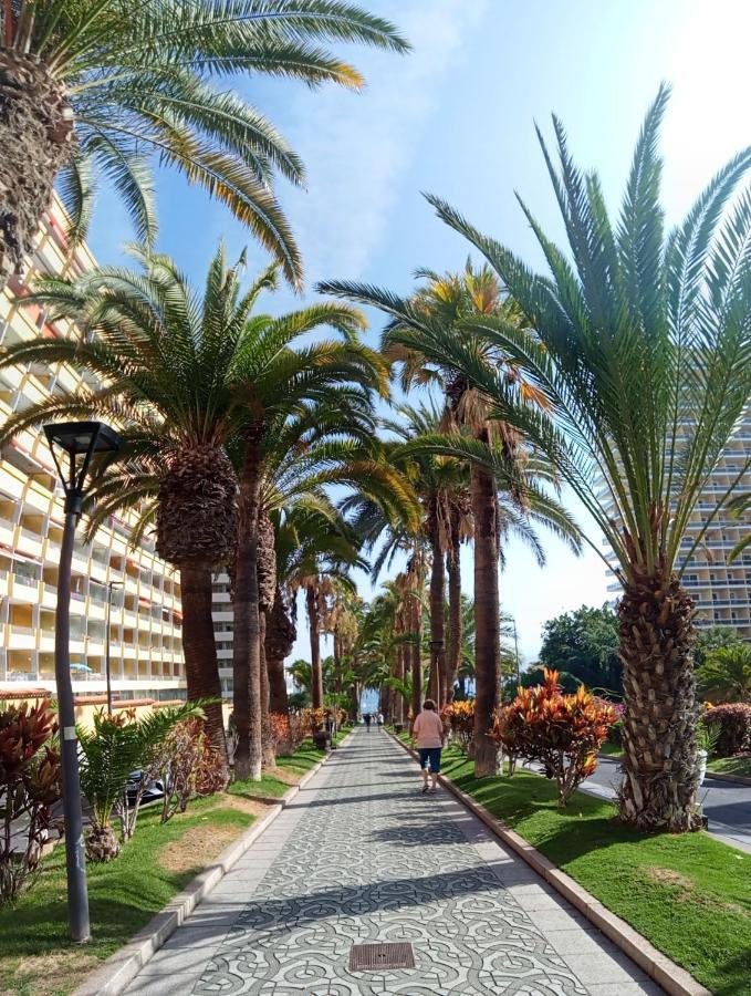 Paraiso San Telmo Puerto de la Cruz  Zewnętrze zdjęcie